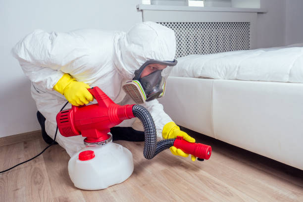 Best Wasp Removal Services  in Southport, NC
