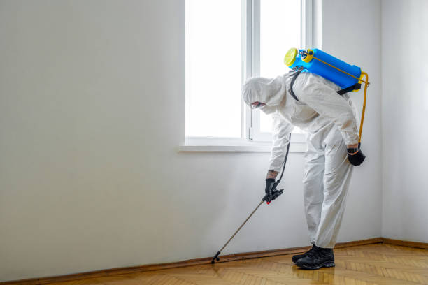 Professional Pest Control in Southport, NC