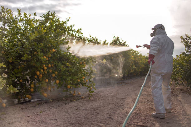 Pest Prevention Services in Southport, NC